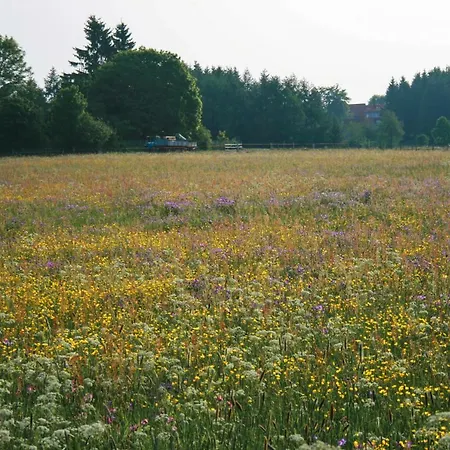 Selke Am Bach Holiday home Clausthal-Zellerfeld